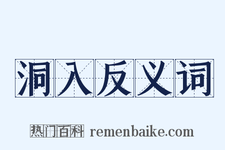 洞入反义词是什么意思的图片